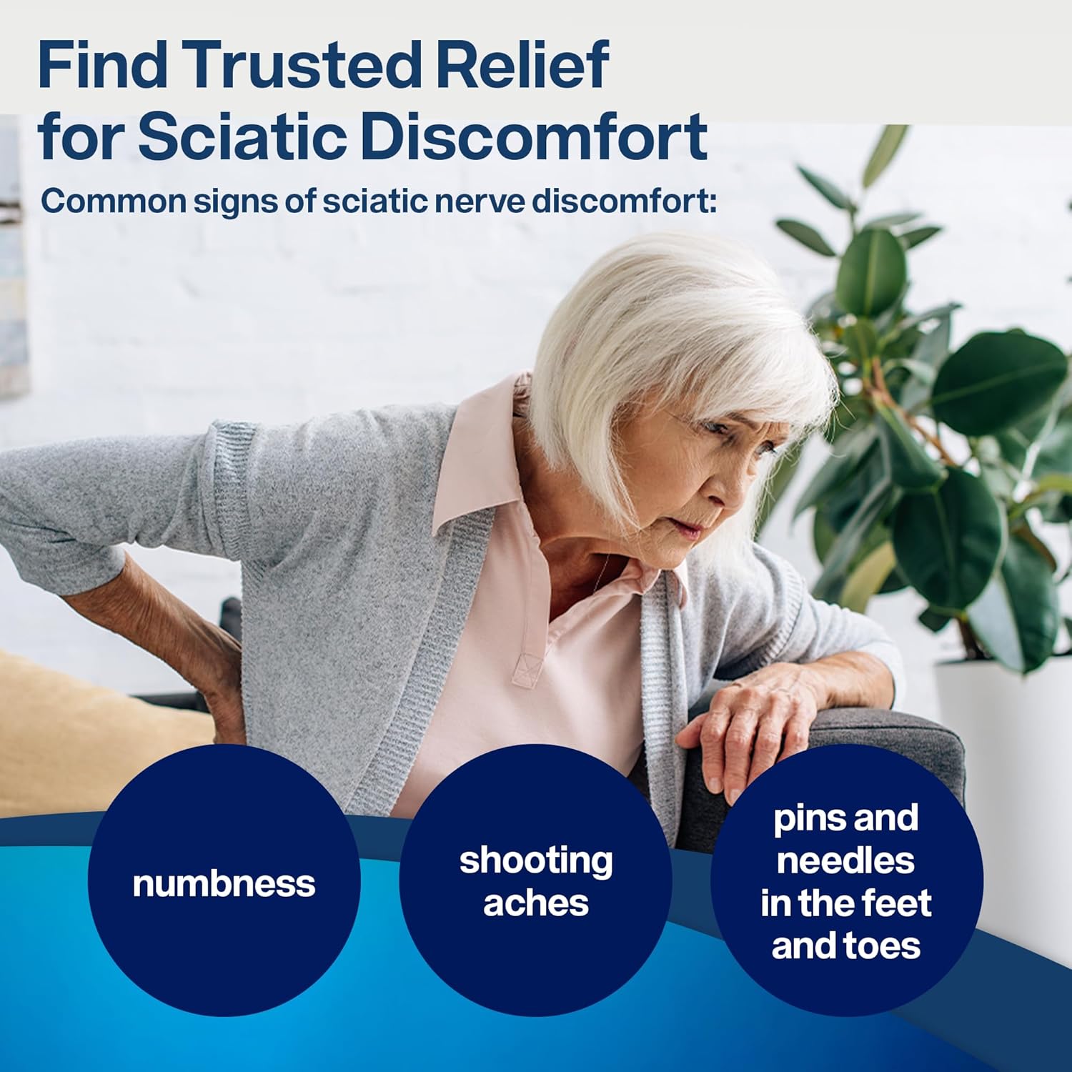 SciatiEase Sciatic Nerve Formula, Powered by AlphaPalm, Supports Daily Comfort, Nerve Health & Healthy Inflammatory Response, 12 Research-Backed Vitamins & Herbs, 120 Capsules