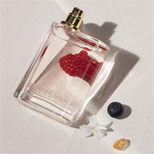Burberry Her Eau de Parfum 3.3 oz / 100 mL Perfume | New & Sealed Box!